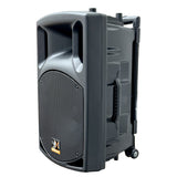 E-Lektron Duevibe 15 1800W 2 X 15 inch UHF Mics TWS Bluetooth Portable Speakers System PA UHF Mics